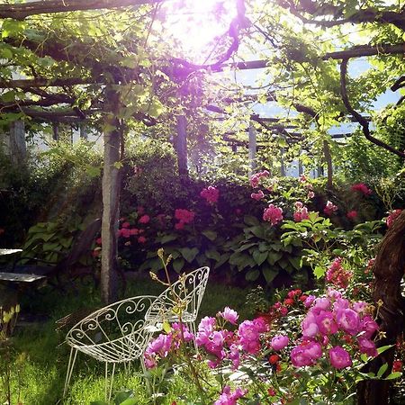 Bed & Breakfast Uvablu Trontano Eksteriør billede