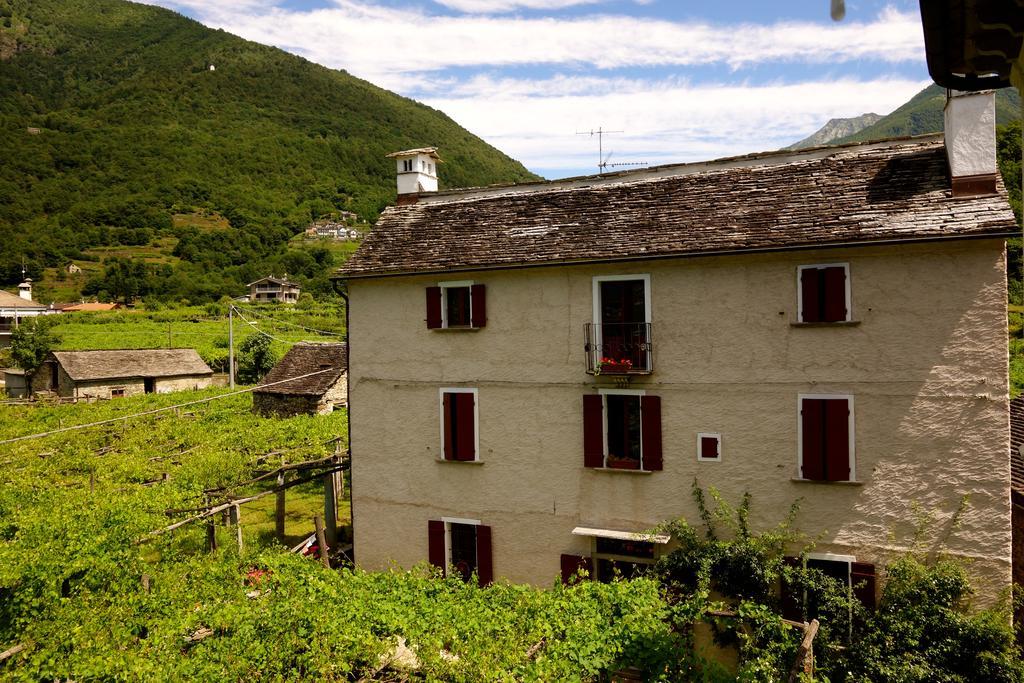 Bed & Breakfast Uvablu Trontano Eksteriør billede