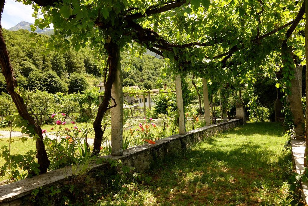 Bed & Breakfast Uvablu Trontano Eksteriør billede